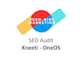 a complete SEO and GEO audit for your saas or b2b website
